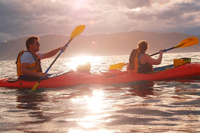 Sunset Evening Kayaking Tour - Kaikoura - Reaching the Peninsula Seal Colony