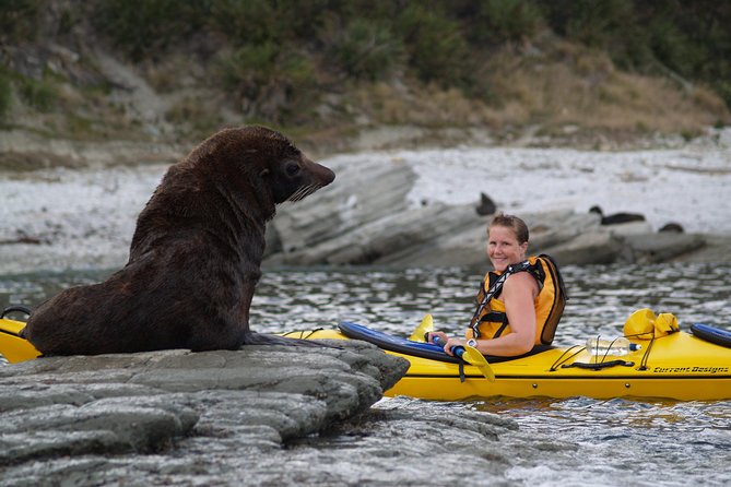 Sunset Evening Kayaking Tour - Kaikoura - Weather, clothing, and comfort