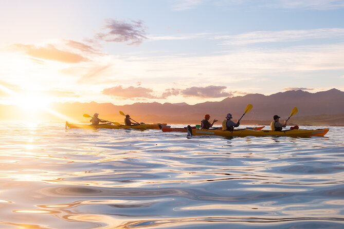 Sunset Evening Kayaking Tour - Kaikoura - Meeting at 17 Killarney Street