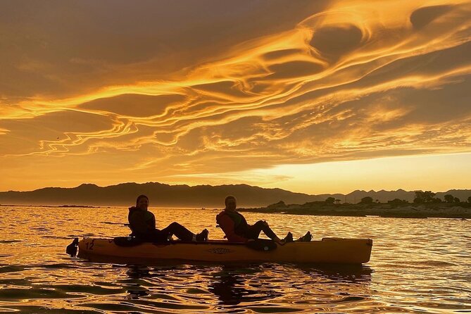 Sunset Kayak tour in Kaikoura - Key points to know before you book