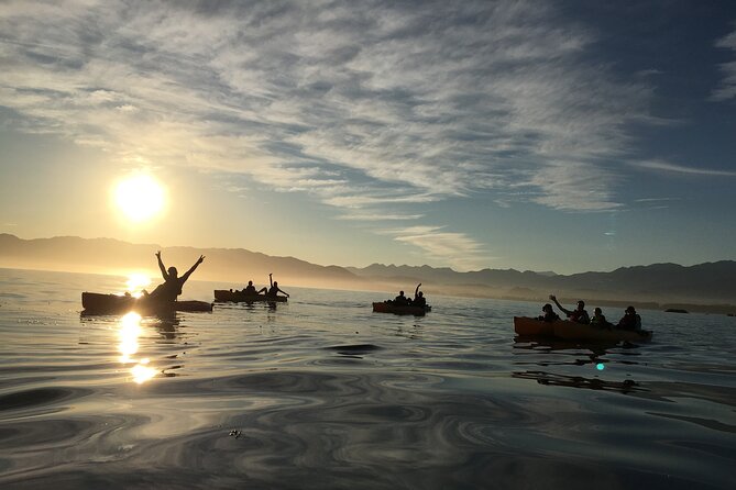 Sunset Kayak tour in Kaikoura - Is €71.53 a fair price?