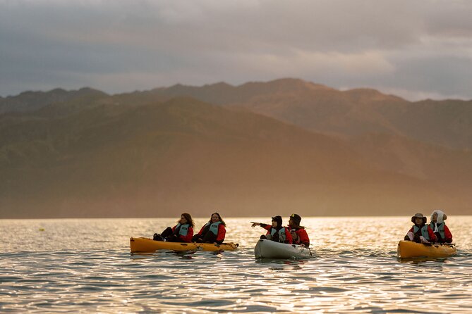 Sunset Kayak tour in Kaikoura - Weather is the one serious uncertainty