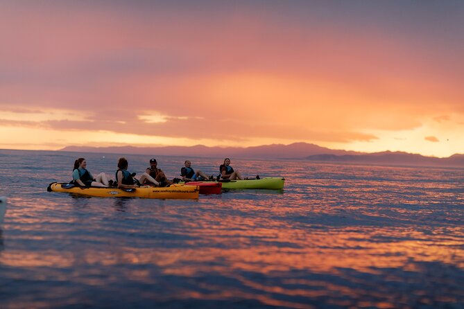 Sunset Kayak tour in Kaikoura - Setting out from 18 Beach Road at 5:30 pm