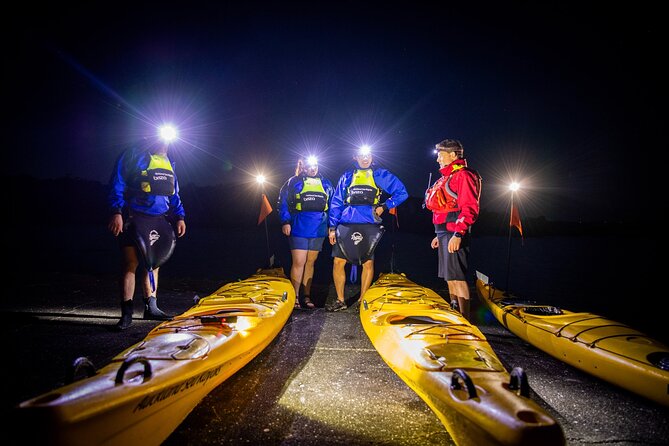 Sunset kayak tour to Rangitoto Island - The return paddle beneath the city lights