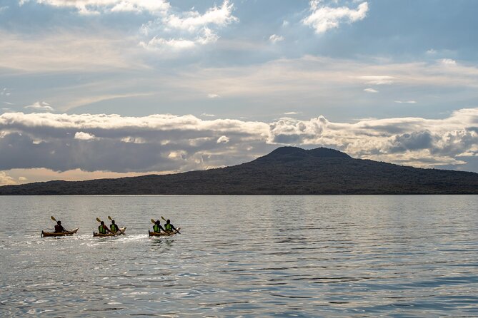 Sunset kayak tour to Rangitoto Island - The fitness level is higher than the label suggests