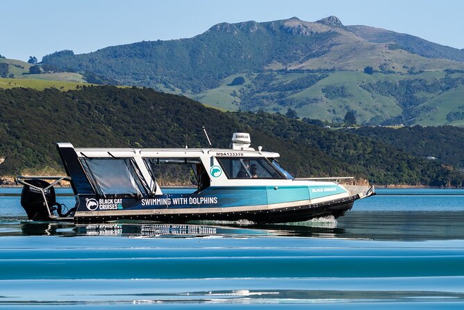 Swimming with Wild Dolphins in Akaroa - Getting to Akaroa from Christchurch