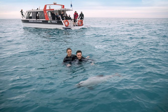 Swimming with Wild Dolphins in Akaroa - The small boat and the safety briefing