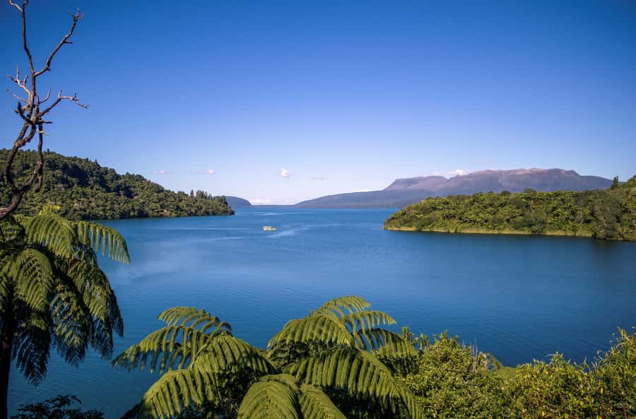 Tarawera and Lakes 2-Hour Duck Eco Tour - Key points at a glance