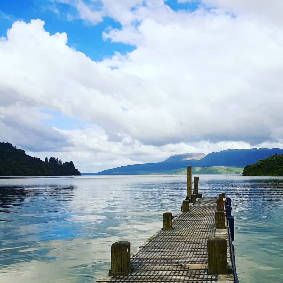 Tarawera and Lakes 2-Hour Duck Eco Tour - Rotokakahi is seen, not splashed into