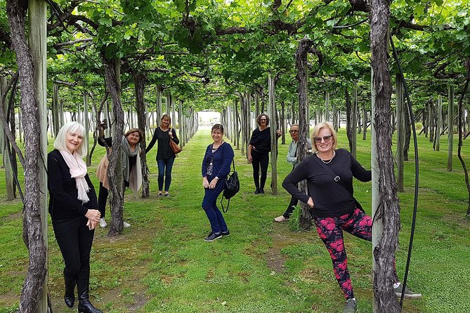 Taste the Valley Wine Tour in Marlborough with Wine Tasting - What the tastings are like