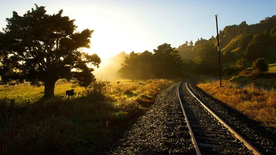 Taumarunui: Forgotten World Rail Cart Tour with Lunch - Key points to know before you book