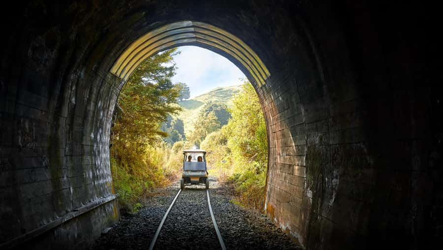 Taumarunui: Forgotten World Rail Cart Tour with Lunch - Why this railway ride feels different