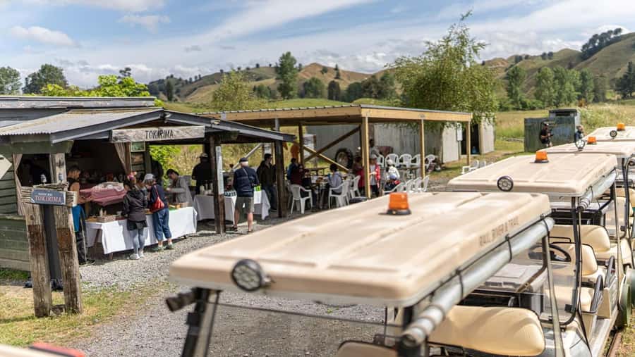 Taumarunui: Forgotten World Rail Cart Tour with Lunch - Riding 40 kilometers through the Forgotten World