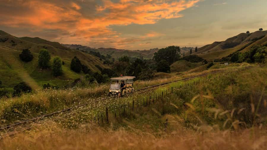 Taumarunui: Forgotten World Rail Cart Tour with Lunch - From Taumarunui to the Okahukura rail line