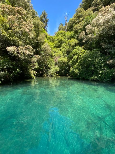Taupo: Lake Taupo Western Bays Catamaran Tour with Bush Walk - What the guide adds to the trip
