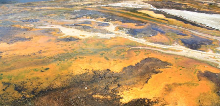 Taupo: Orakei Korako Geothermal Park and Cave Entry Ticket - Who should book this experience?