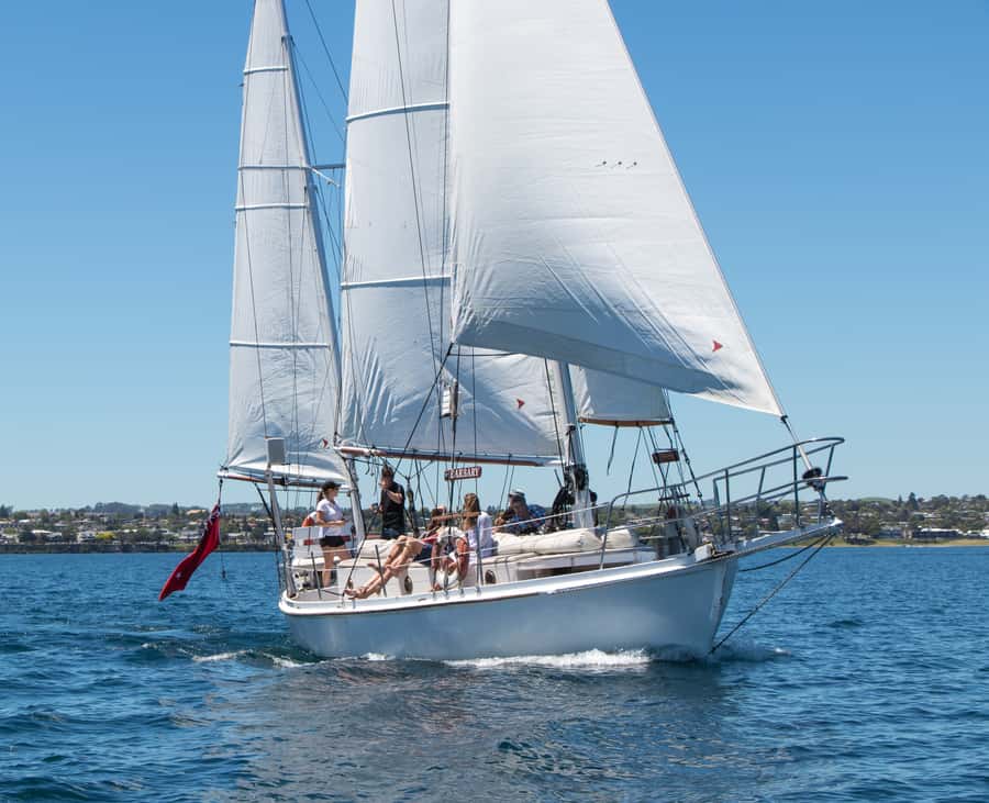 Taupō: Sail Barbary Eco Sailing to the Maori Rock Carvings - A cool swim in Lake Taupō