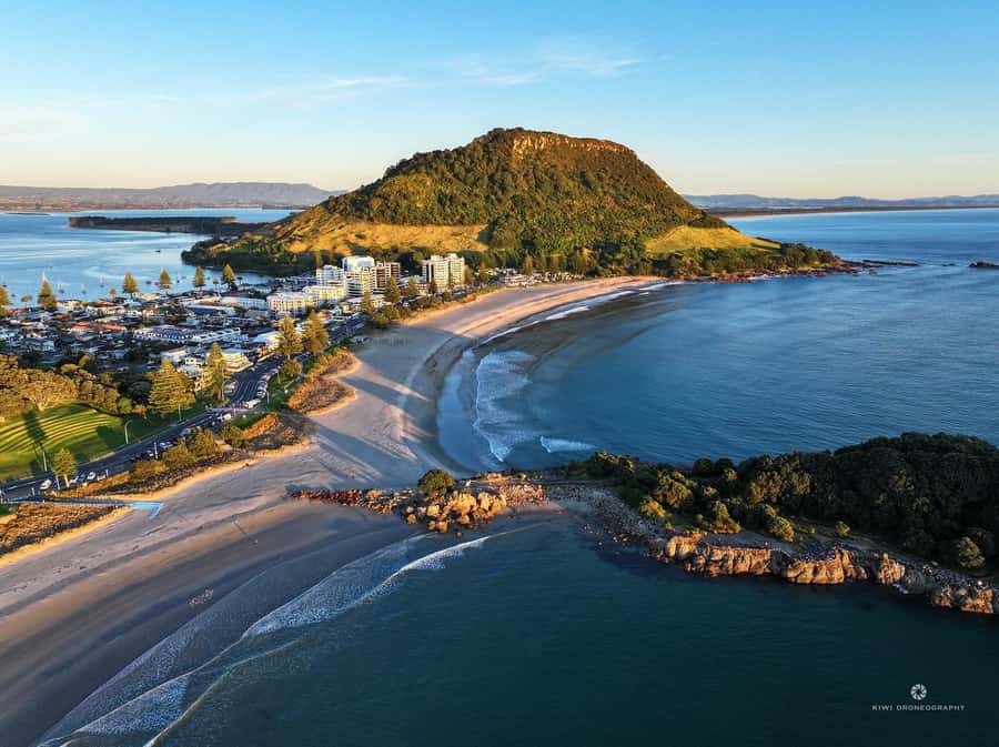 Tauranga City & Scenic Sightseeing 2-hour Local Tour - Why this short Tauranga tour works well from a cruise ship