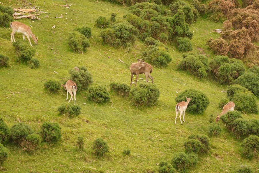 Tauranga City & Scenic Sightseeing 2-hour Local Tour - What you can do after the bus returns
