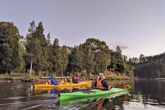 Tauranga: Evening Glowworm Kayak Tour - From Tauranga countryside to Lake McLaren