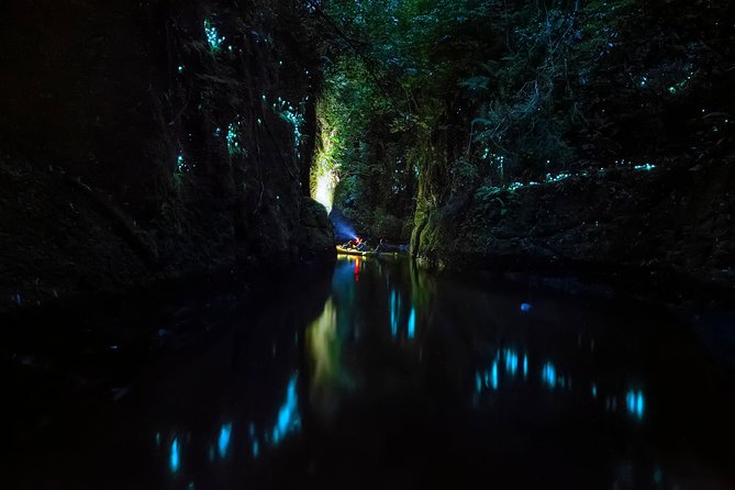 Tauranga: Evening Glowworm Kayak Tour - The guides make the difference