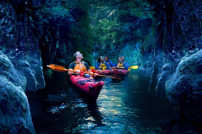 Tauranga: Evening Glowworm Kayak Tour - A generous taste of Aotearoa before paddling