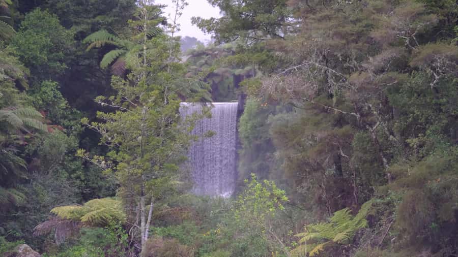Tauranga: Kiwifruit Destination and Sights Shore Excursion - McLaren Falls Park: lake views, rapids, and a short walk