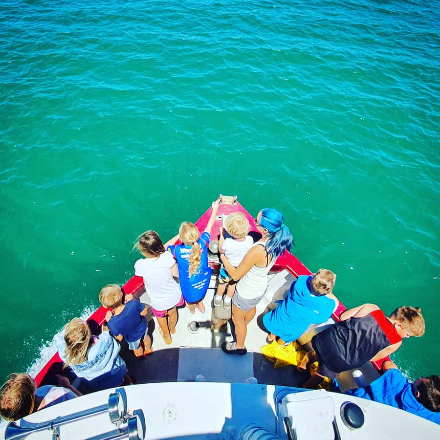 Tauranga: Mount Maunganui Harbour Sightseeing Cruise - Key points to know before boarding