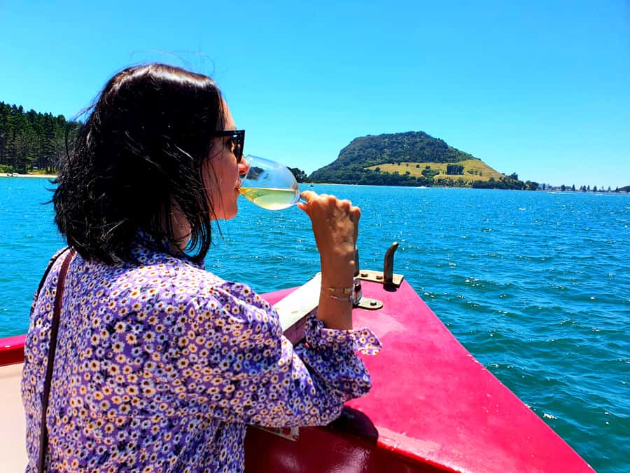 Tauranga: Mount Maunganui Harbour Sightseeing Cruise - Why this one-hour Tauranga cruise is worth your time