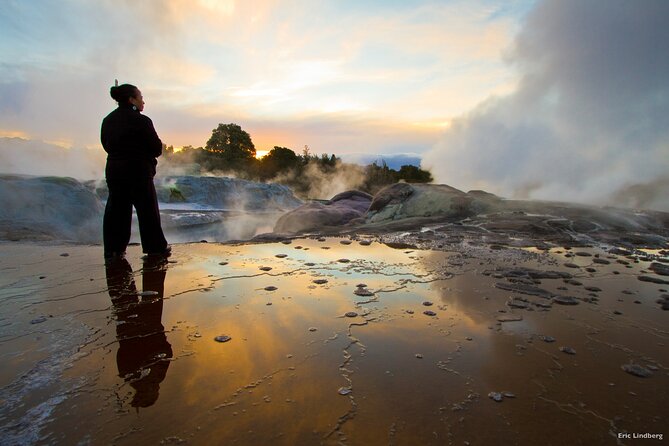 Tauranga Private Excursion: Rotorua -Te Puia-Geysers & Kiwi's - From Tauranga Harbour to Rotorua’s geothermal valley