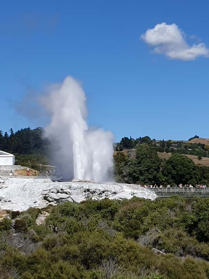 Tauranga: Rotorua Redwoods Tour & Maori Village Experience - From Port of Tauranga to Rotorua