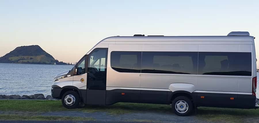Tauranga: Rotorua Redwoods Tour & Maori Village Experience - Walking above the Redwoods