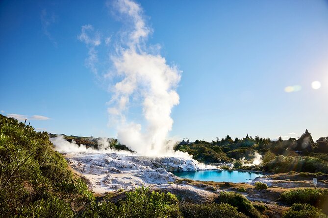 Tauranga Shore Excursion: Rotorua Highlights - Timing, group size, and cruise protection