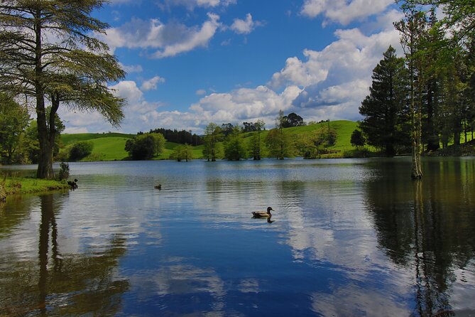 Tauranga Shore Excursion: Top Half Day Curated Highlights Tour - Key things to know before you book