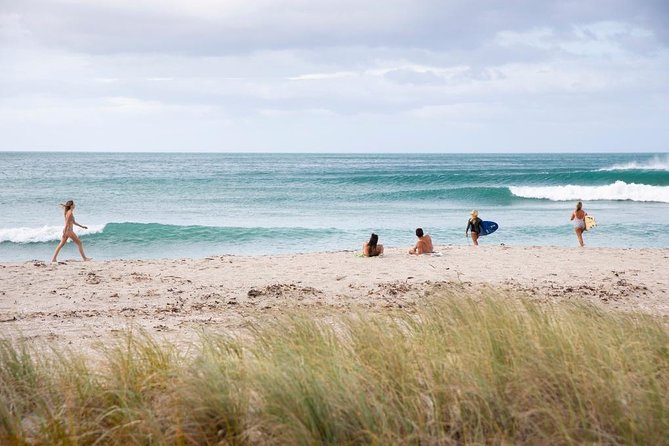 Tauranga Shore Excursion: Top Half Day Curated Highlights Tour - A good first look at Tauranga from the cruise port