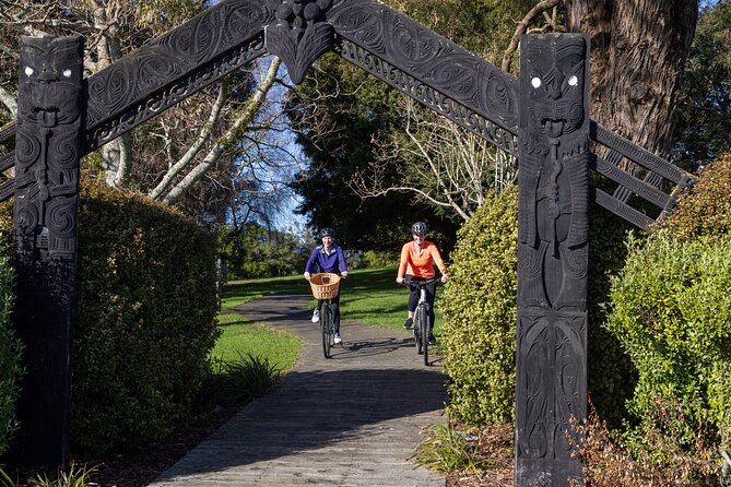 Tauranga Shore Excursion: Top Half Day Curated Highlights Tour - The main drawbacks to keep in mind