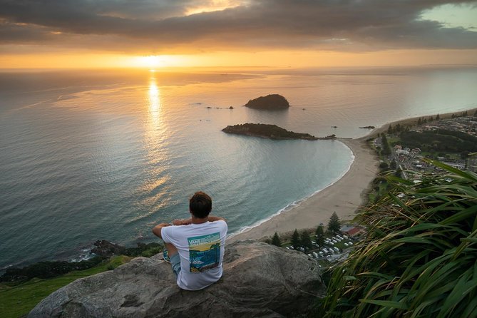 Tauranga Shore Excursion: Top Half Day Curated Highlights Tour - Te Puna shows where New Zealand kiwi fruit comes from