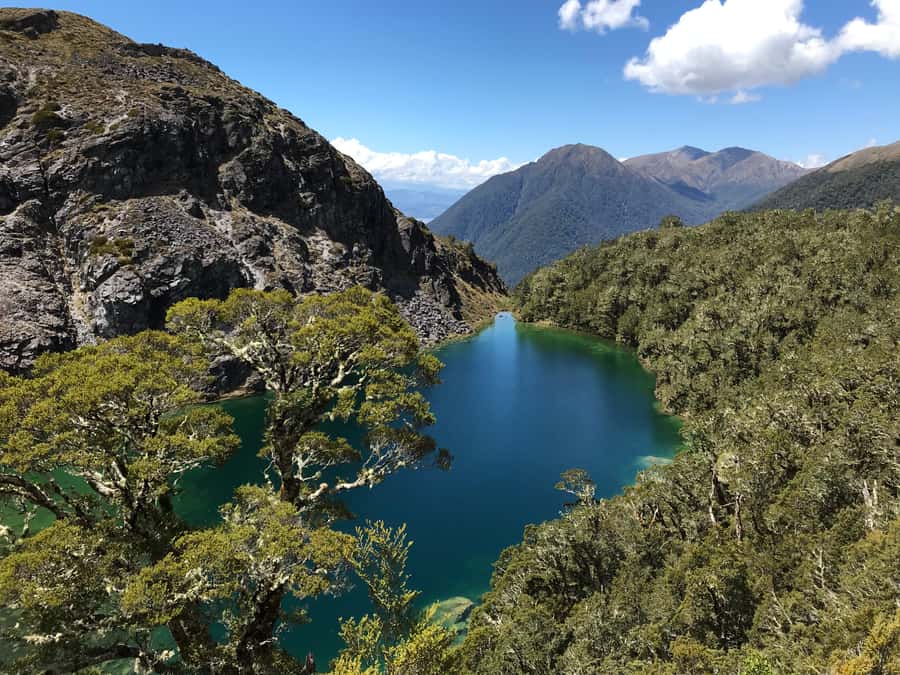 Te Anau: 30-Minute Fiordland National Park Scenic Flight - Searching out the Hidden Lakes
