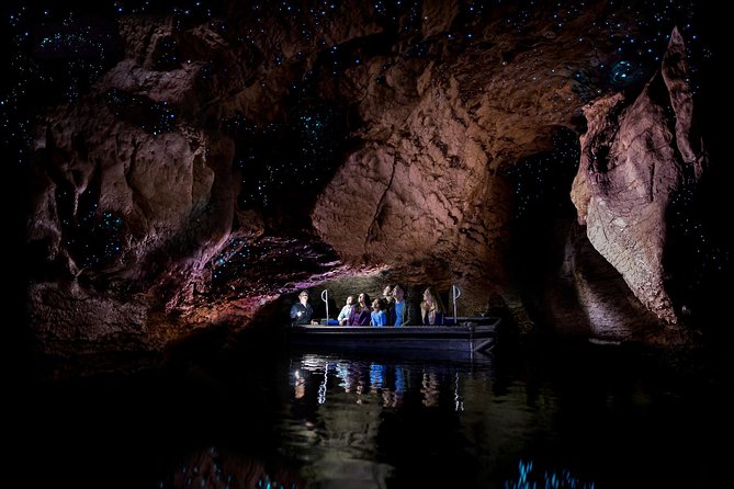 Te Anau Glow Worm Caves Tour - Key points to know before booking