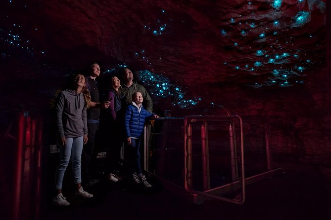 Te Anau Glow Worm Caves Tour - Why the Te Anau cave trip feels special