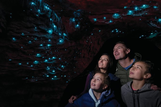 Te Anau Glow Worm Caves Tour - What happens at Cavern House