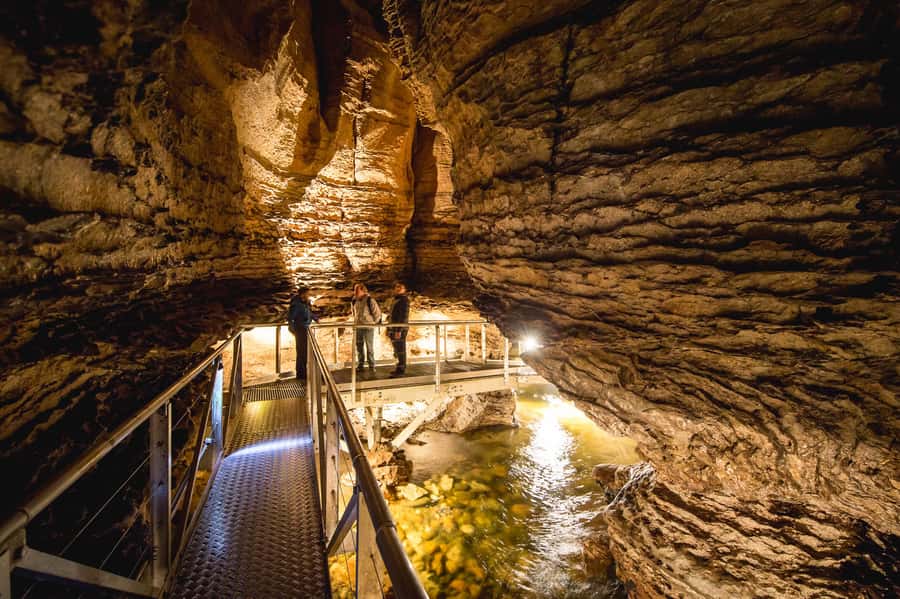 Te Anau: Glowworm Caves Guided Tour - Key points to know before booking
