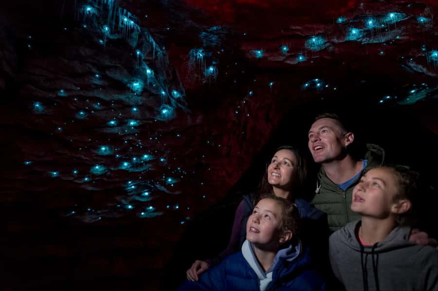 Te Anau: Glowworm Caves Guided Tour - Why the Te Anau Glowworm Caves feel different