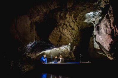 Glowworm Caves Guided Tour