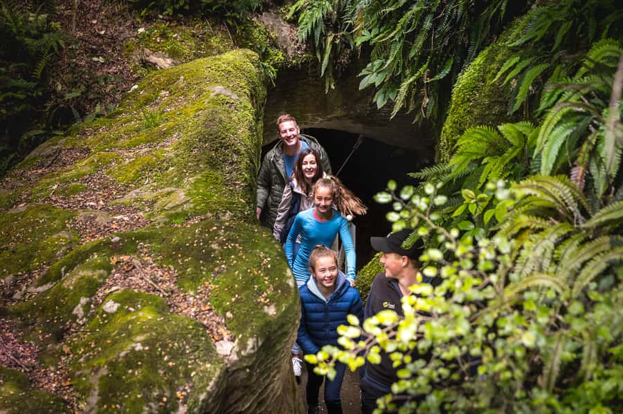 Te Anau: Glowworm Caves Guided Tour - The glowworm grotto in complete darkness