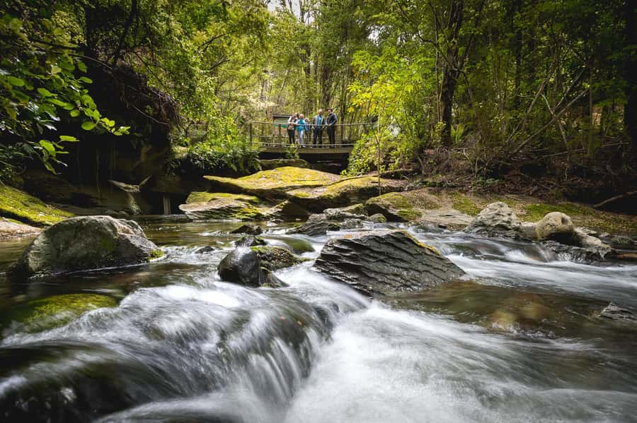 Te Anau: Glowworm Caves Guided Tour - Is $77 a fair price?