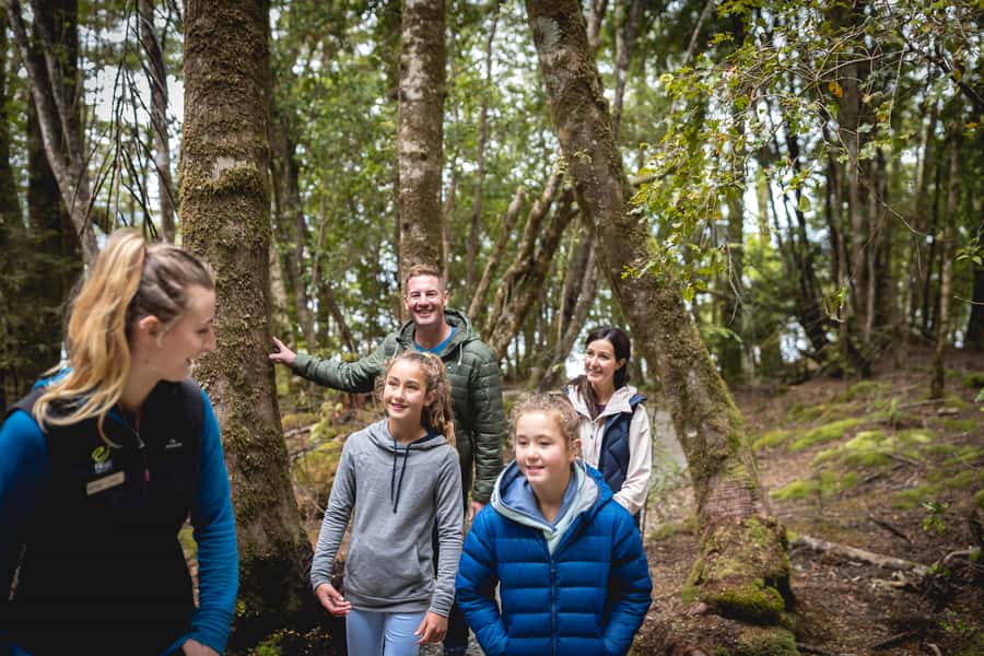 Te Anau: Glowworm Caves Guided Tour - Timing, weather, and small practical details