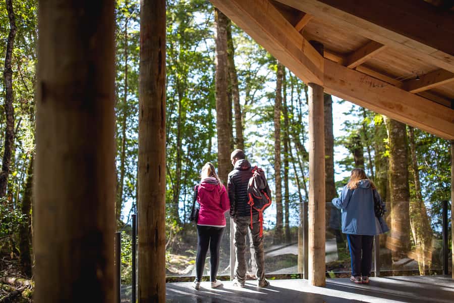 Te Anau: Glowworm Caves Guided Tour - Who will enjoy this tour most?