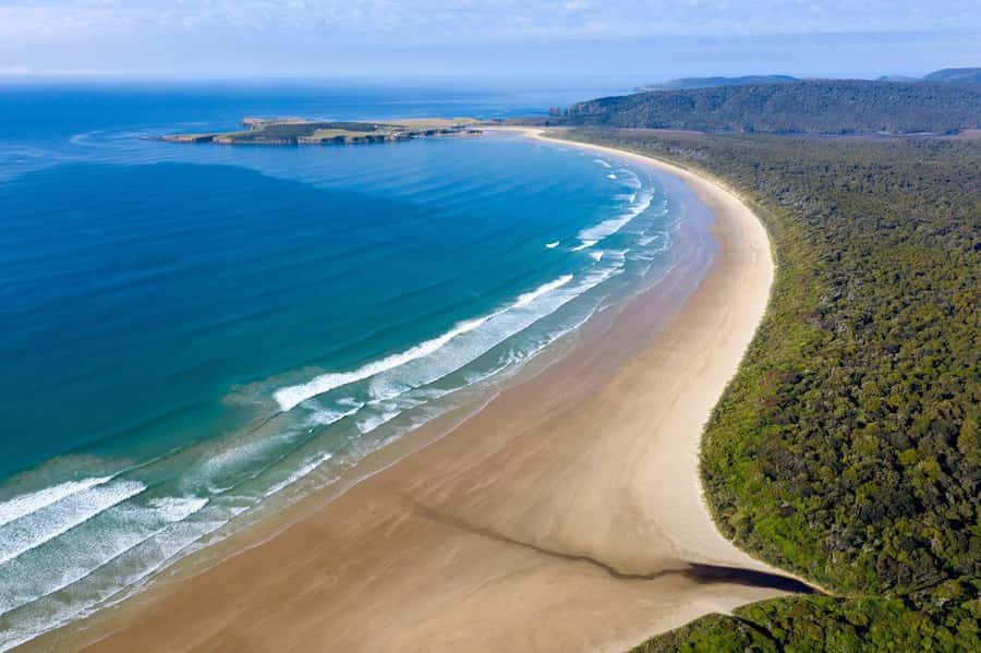 Te Anau to Dunedin via the Catlins & Invercargill 1 Way Tour - Key points to know before booking
