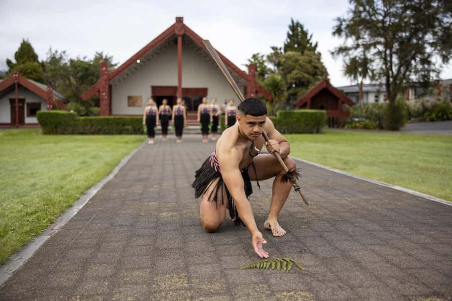 Te Puia: Te Pō Combo: Te Rā, Dinner, and Haka Performance - Practical planning for the four-hour visit